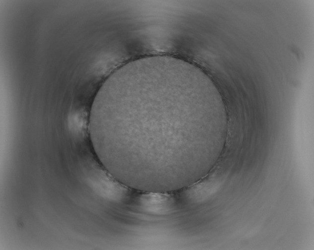 X0000111600672200907161554