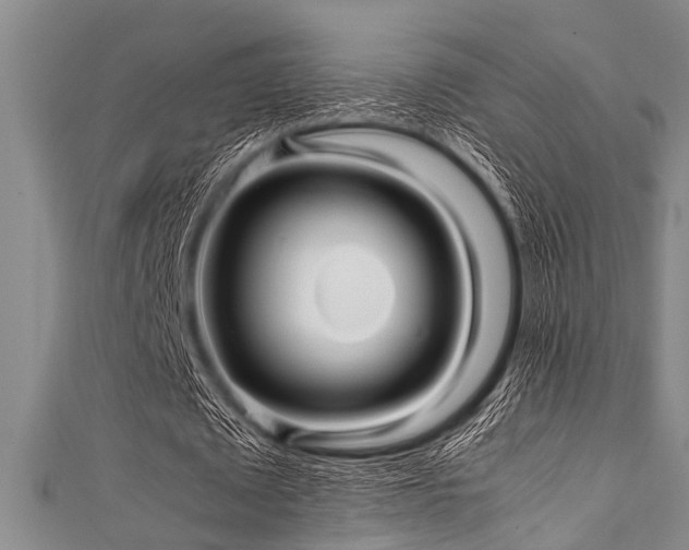 X0000111600673200907161553