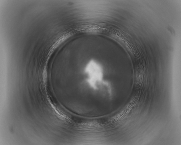 X0000111600674200907161553