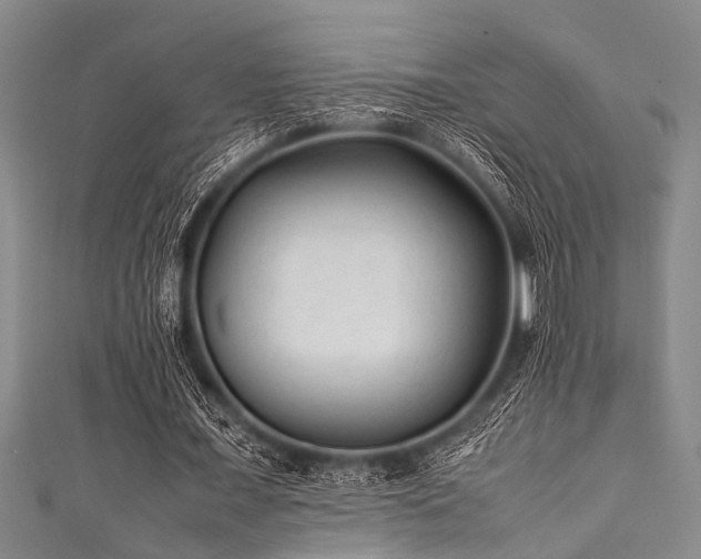 X0000111600675200907161553