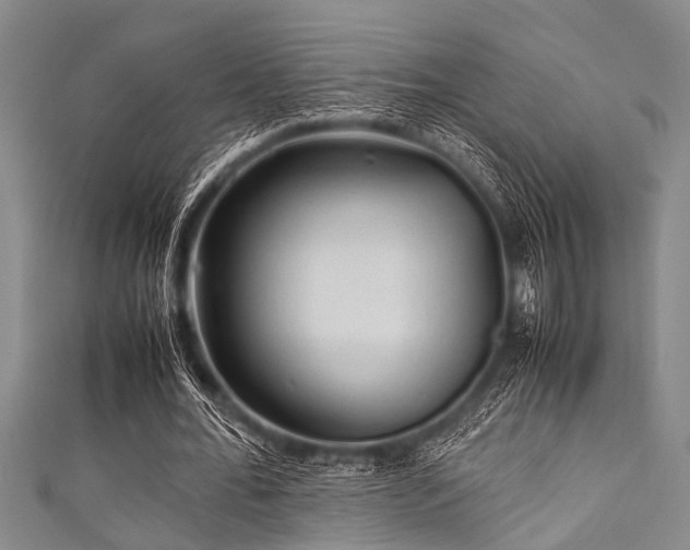 X0000111600676200907161553