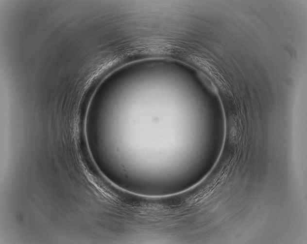 X0000111600677200907161553