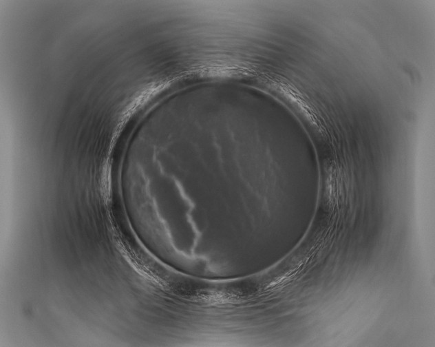 X0000111600678200907161553