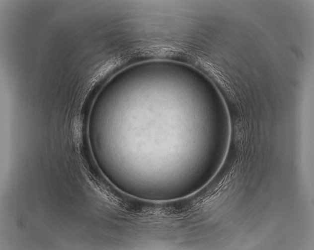 X0000111600679200907161553