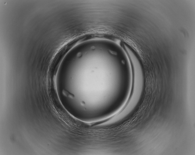 X0000111600680200907161553