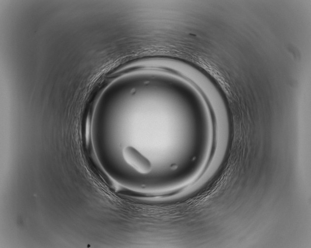 X0000111600681200907161553