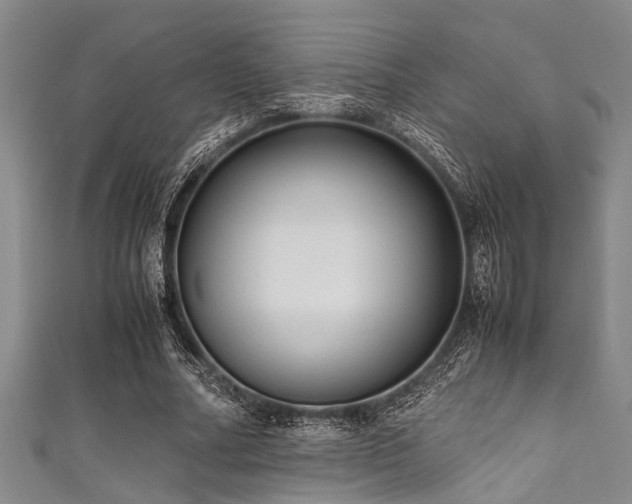 X0000111600682200907161553