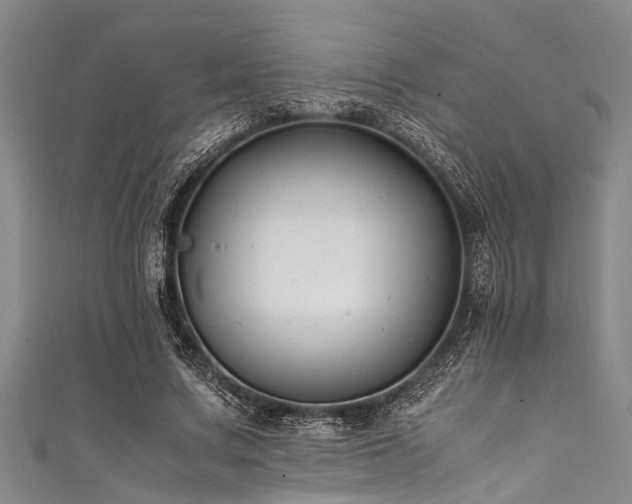X0000111600683200907161553