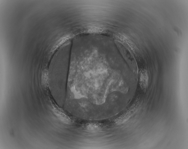 X0000111600684200907161553