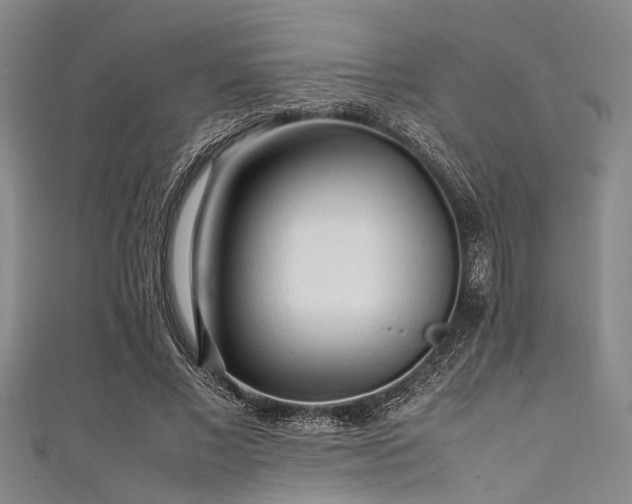 X0000111600685200907161553