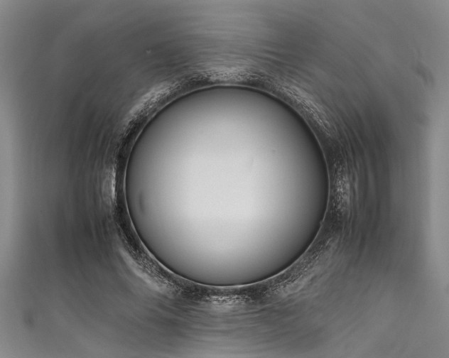 X0000111600686200907161553