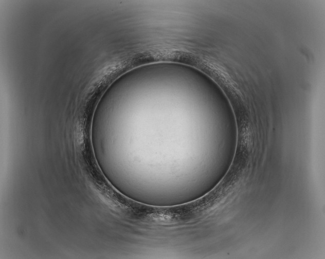 X0000111600687200907161553