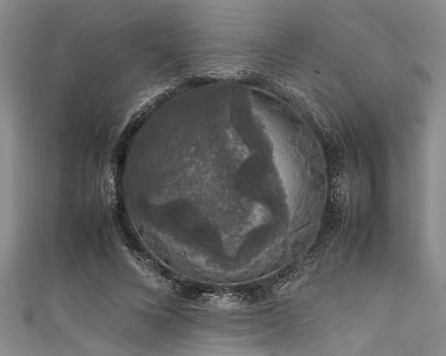 X0000111600688200907161553