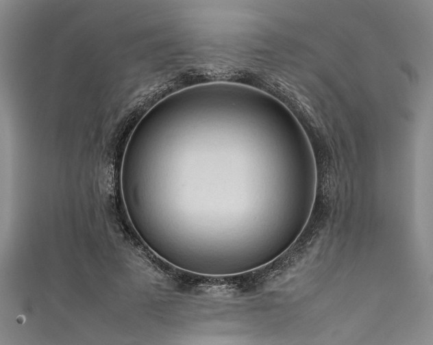 X0000111600689200907161553