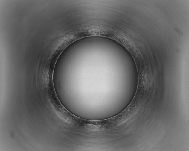 X0000111600690200907161553
