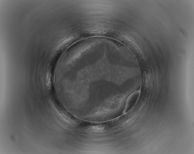 X0000111600692200907161553