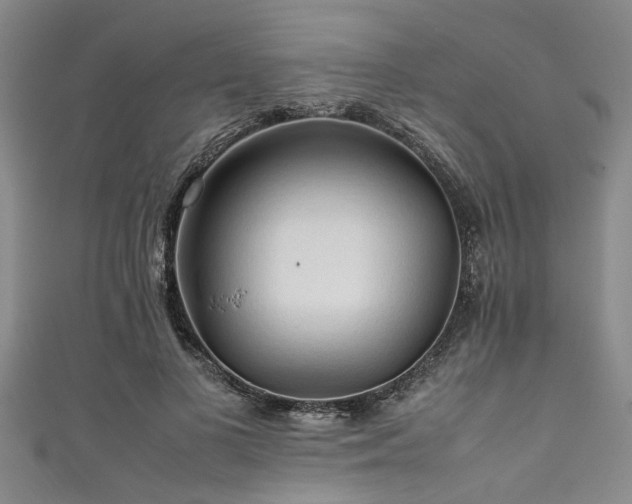 X0000111600693200907161553