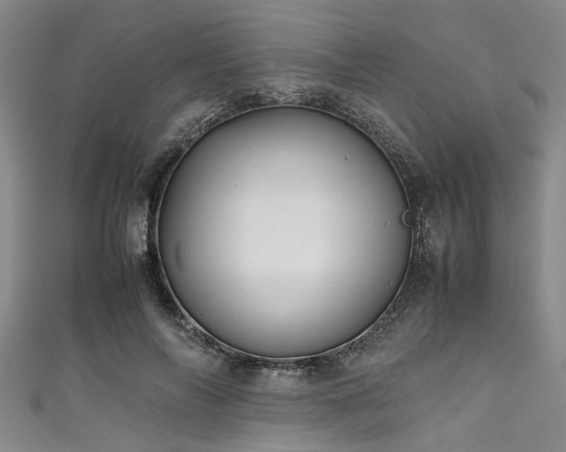 X0000111600694200907161553