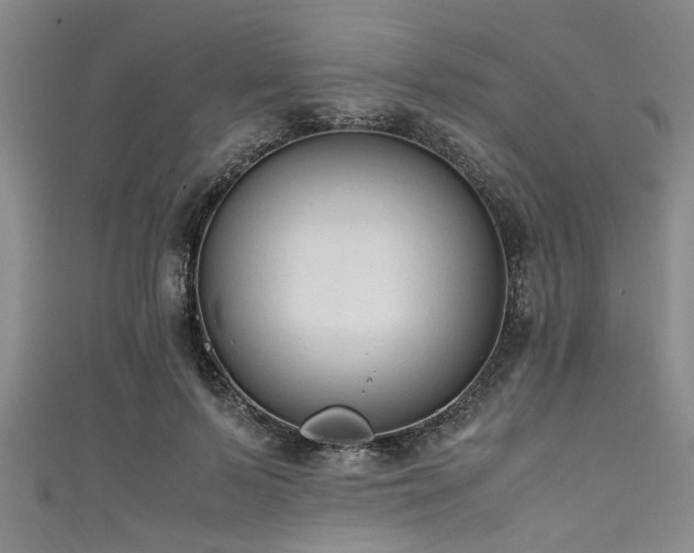 X0000111600695200907161553