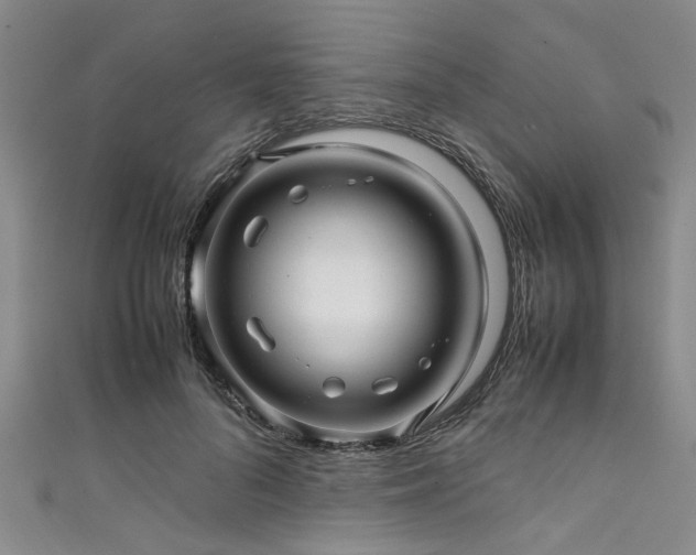 X0000111600696200907161553