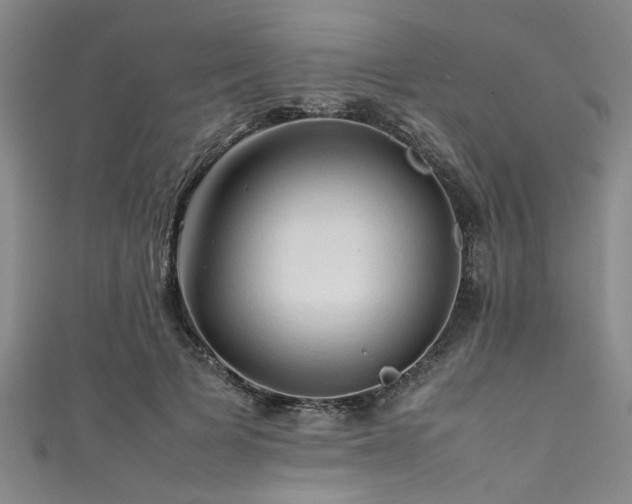 X0000111600697200907161553