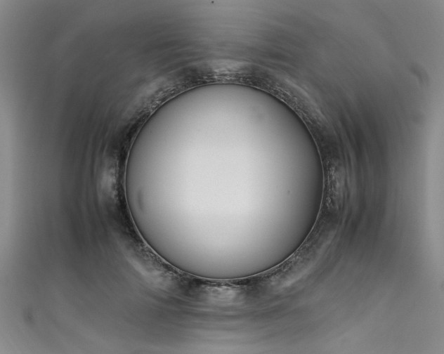 X0000111600698200907161553