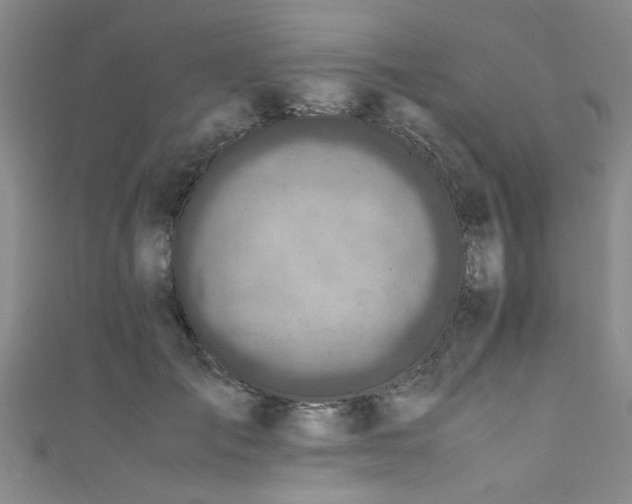X0000111600701200907161553