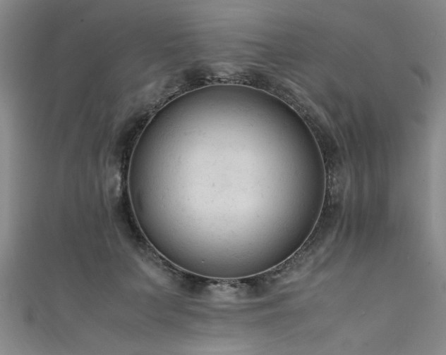 X0000111600703200907161553