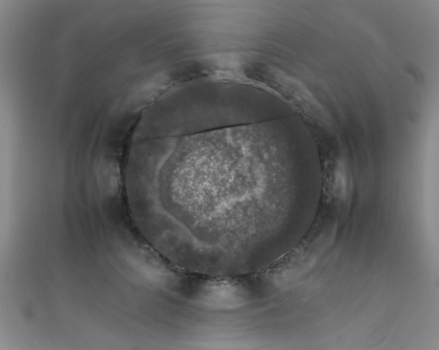 X0000111600704200907161553