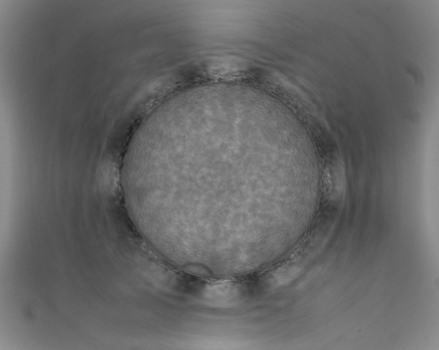 X0000111600705200907161553