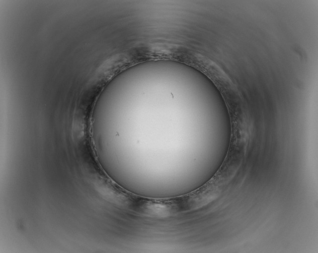 X0000111600706200907161553