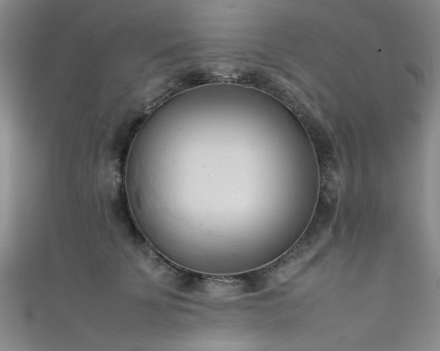 X0000111600707200907161553