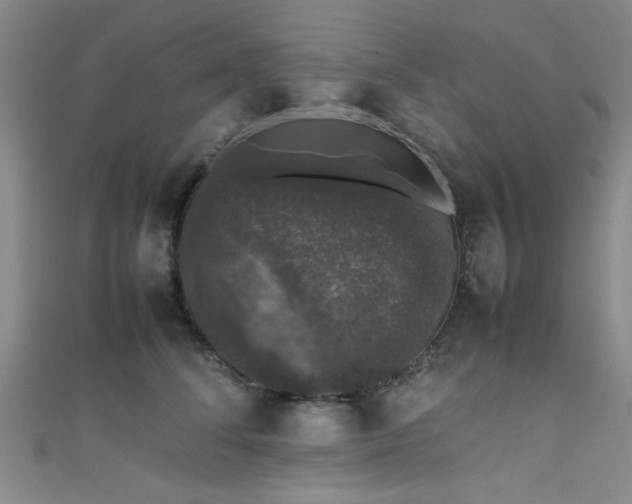 X0000111600708200907161553