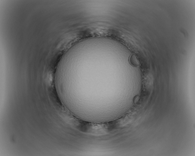 X0000111600709200907161553