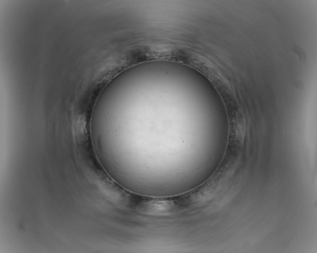X0000111600711200907161553