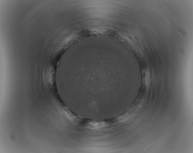 X0000111600712200907161553