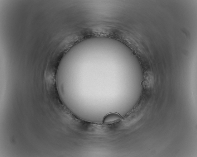 X0000111600713200907161553