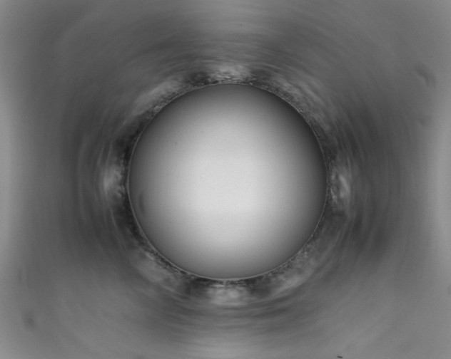 X0000111600714200907161553