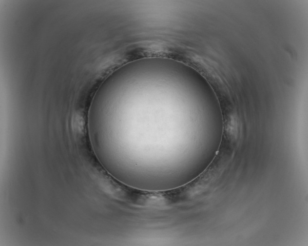 X0000111600715200907161553