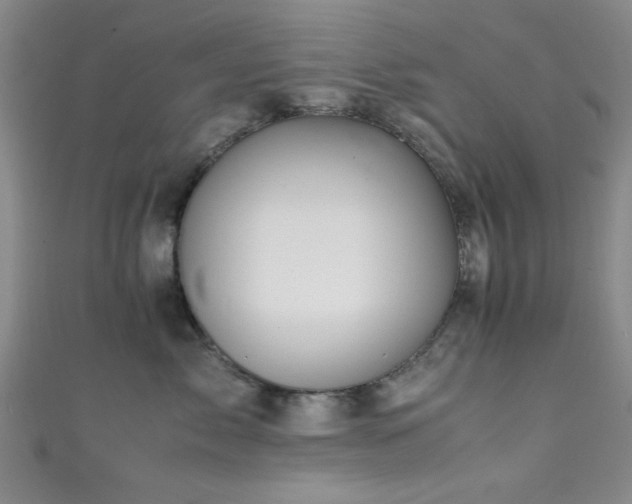 X0000111600717200907161553