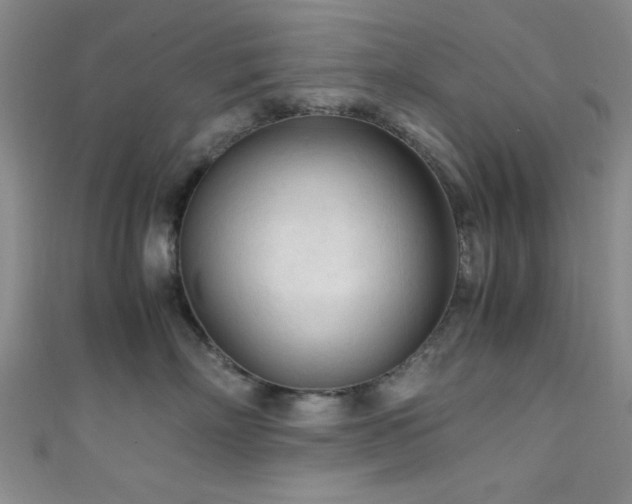 X0000111600718200907161553