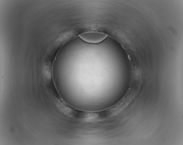X0000111600719200907161553