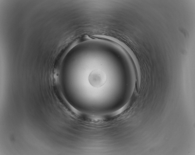 X0000111600720200907161553