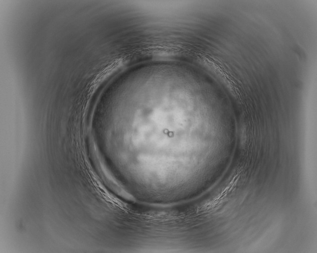 X0000111600721200907161552