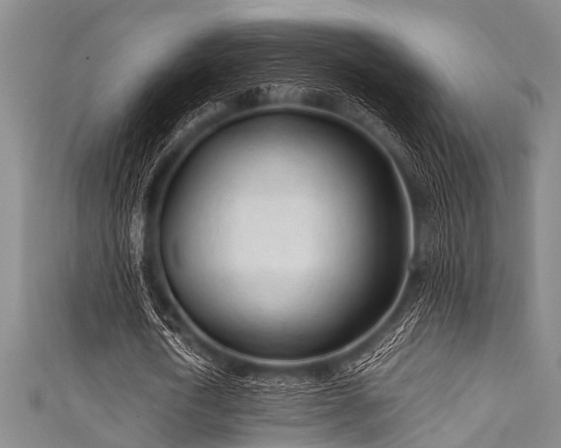 X0000111600722200907161552