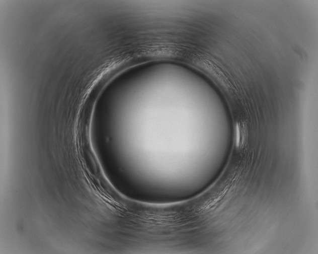 X0000111600723200907161552