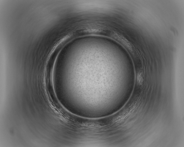 X0000111600724200907161552