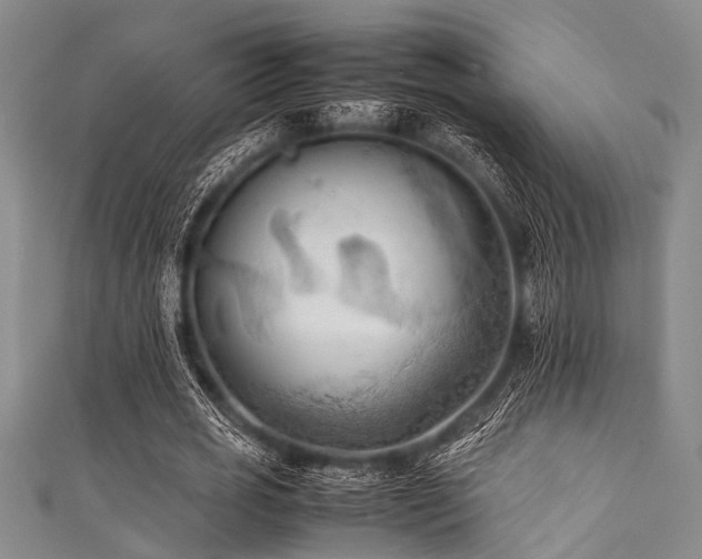 X0000111600725200907161552