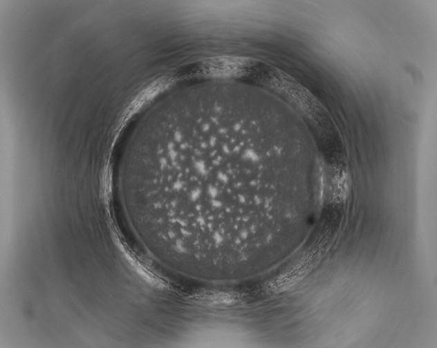 X0000111600726200907161552