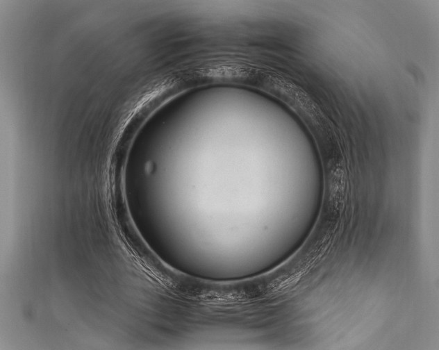 X0000111600727200907161552